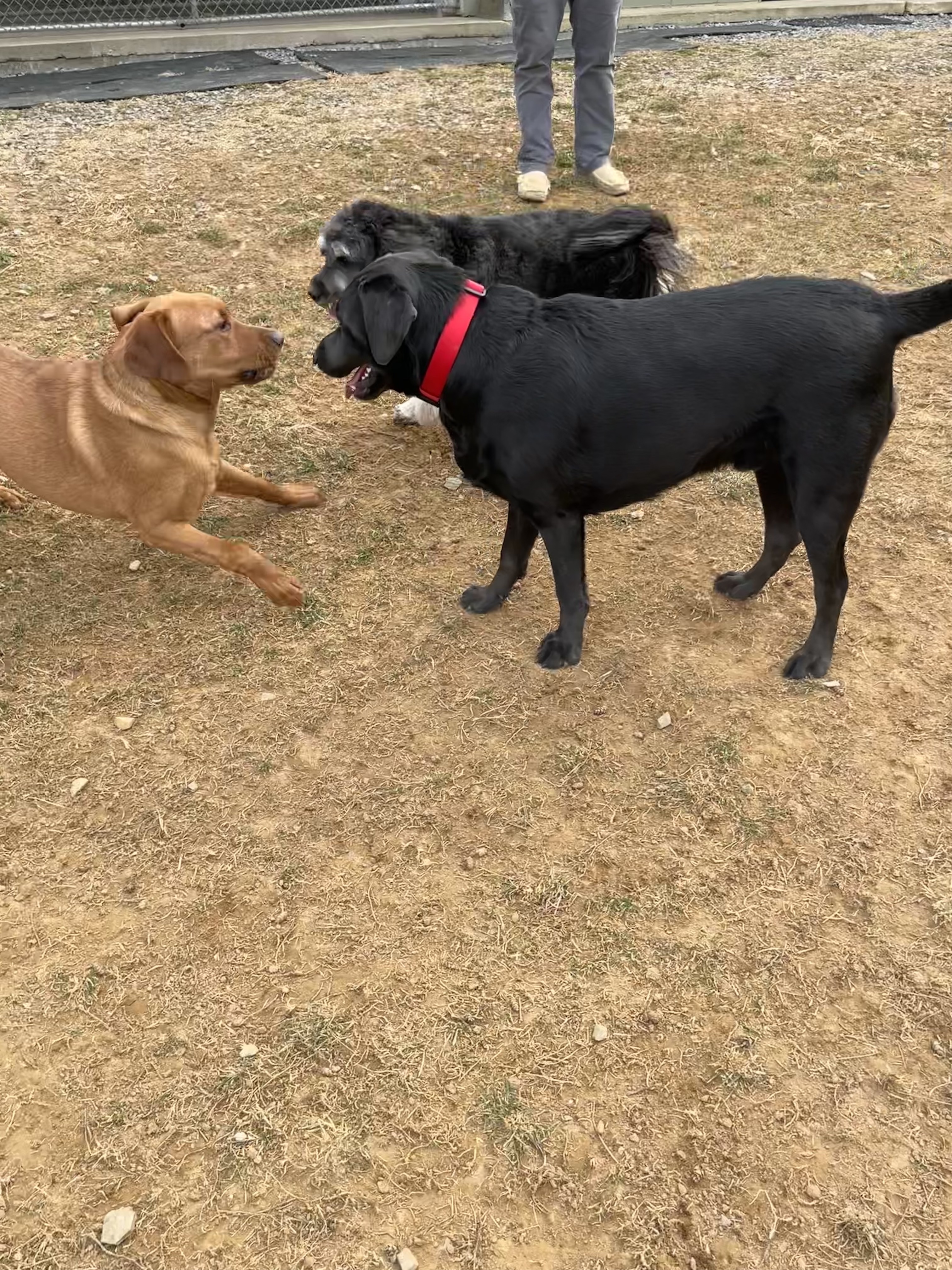 Playtime Playtime